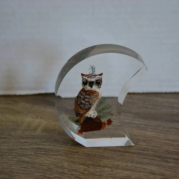 Vtg Lucite Encased Wood Owl Paperweight - Picture 2 of 6